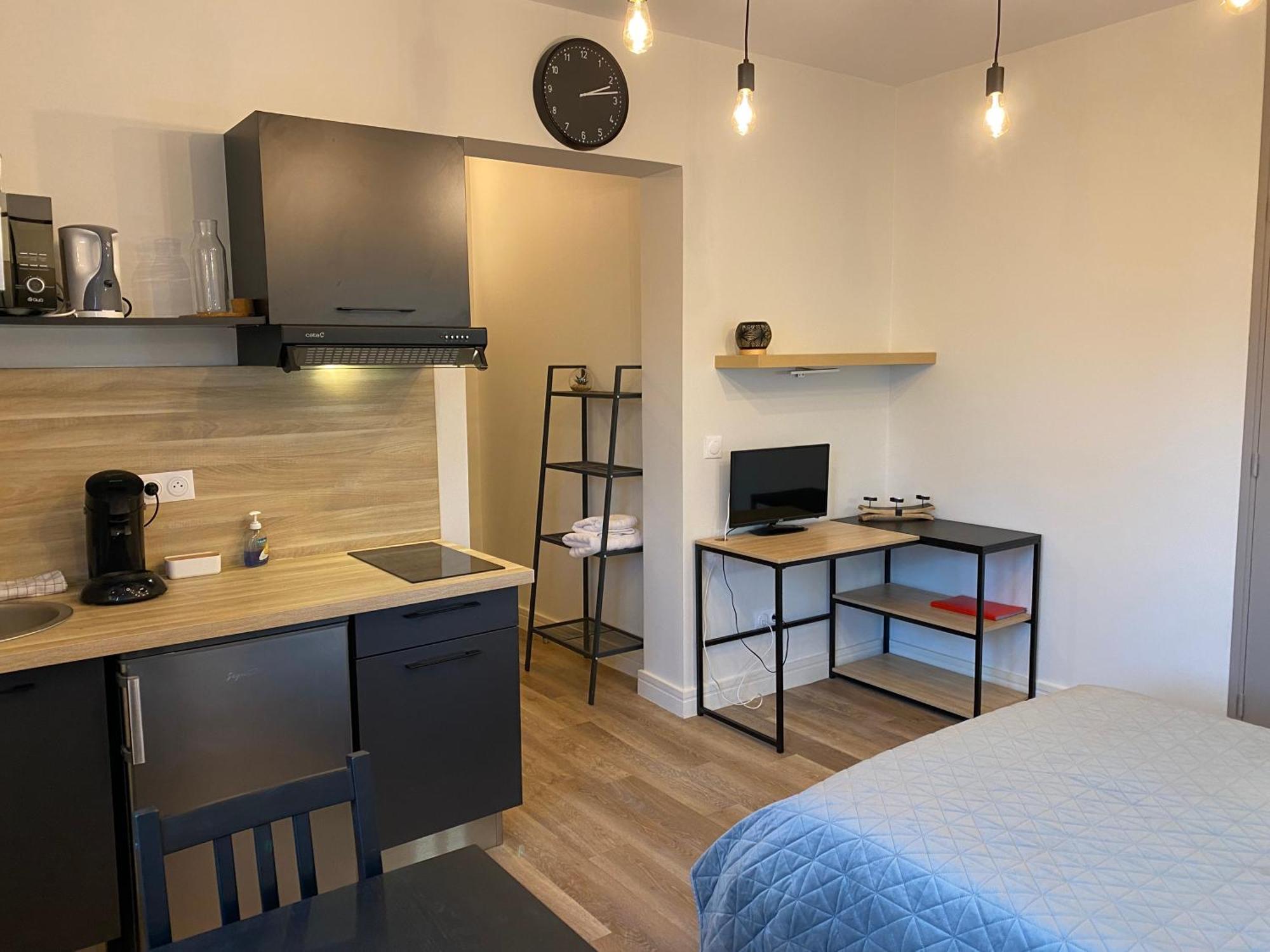 Ferienwohnung Au 3 Rue Manhes Albi Exterior foto
