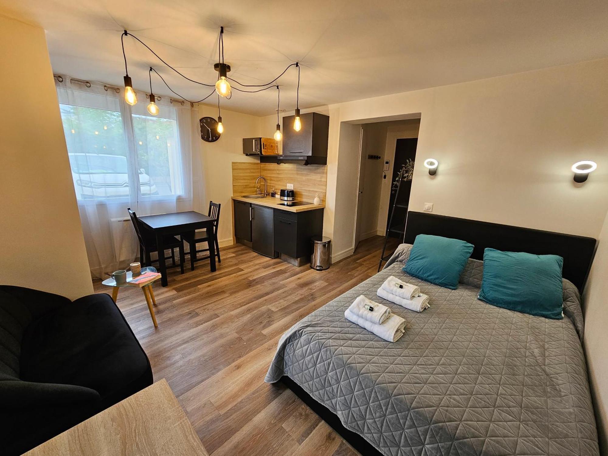 Ferienwohnung Au 3 Rue Manhes Albi Exterior foto